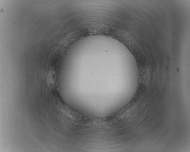 X0000074310770200609081941