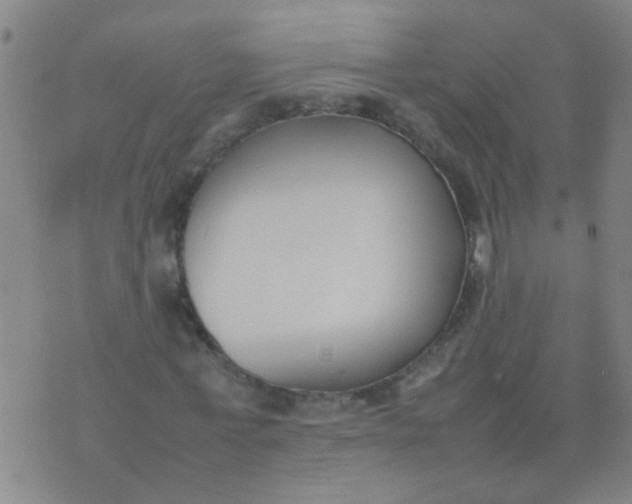 X0000074310771200609081941