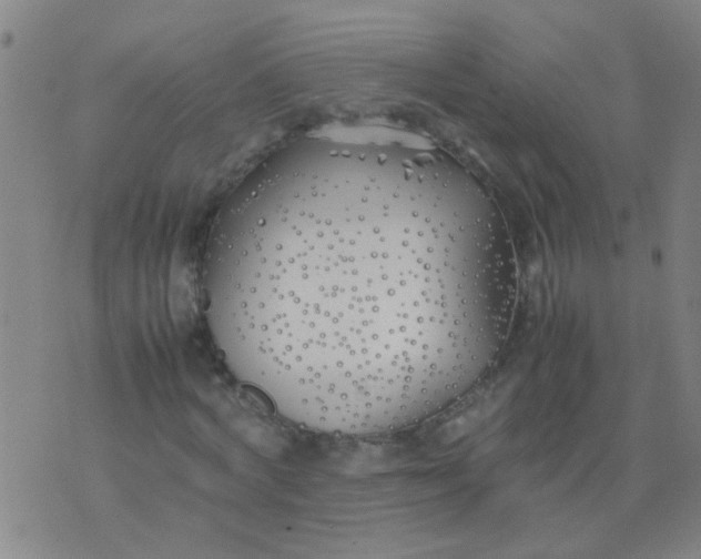 X0000074310772200609081941