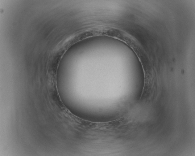 X0000074310773200609081941