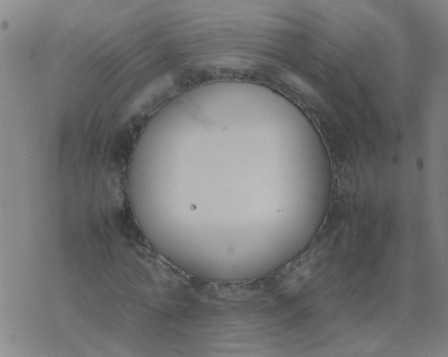 X0000074310774200609081941