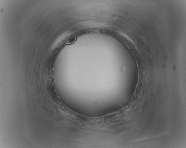 X0000074310775200609081941