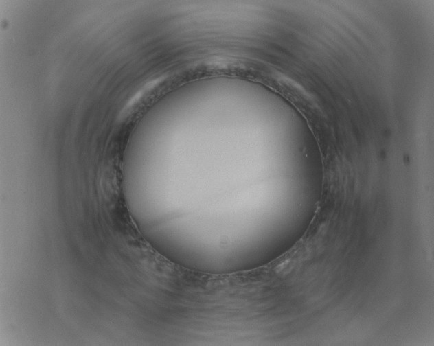 X0000074310776200609081941