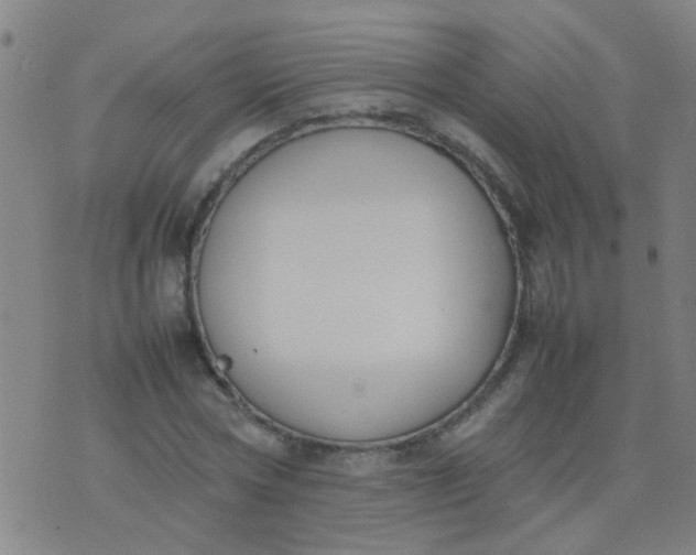 X0000074310778200609081941