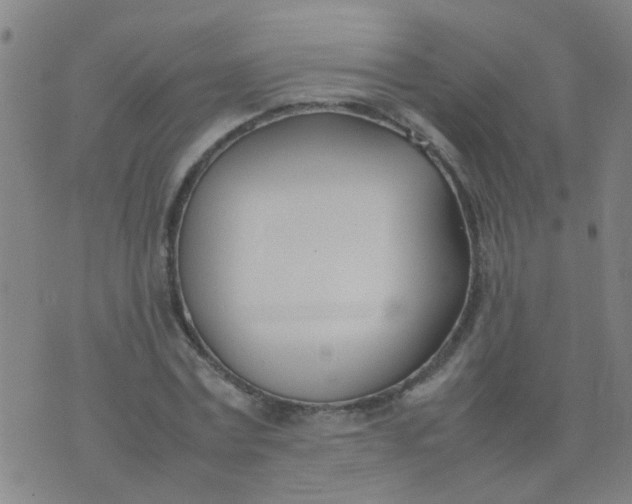 X0000074310779200609081941