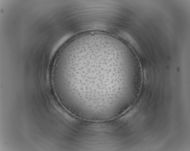 X0000074310780200609081941