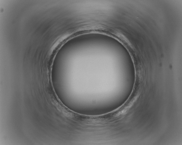 X0000074310781200609081941