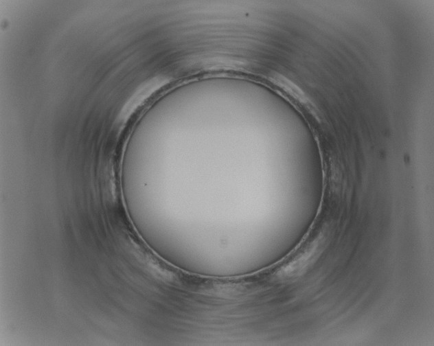 X0000074310782200609081941