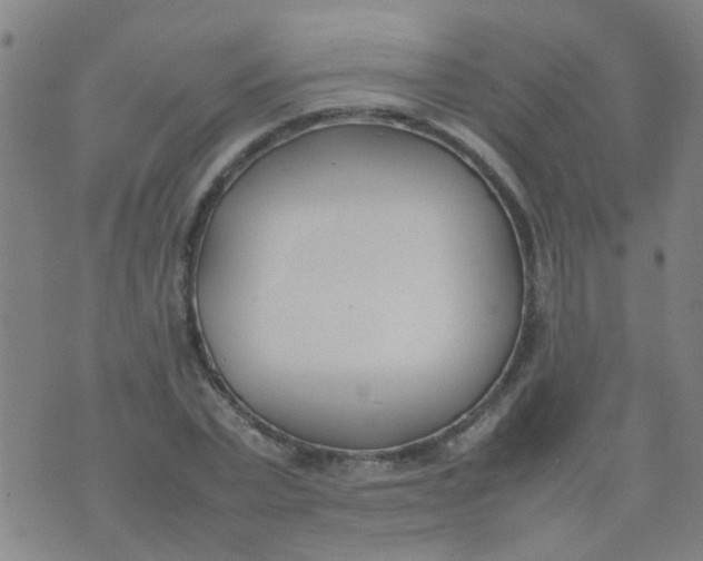 X0000074310783200609081941