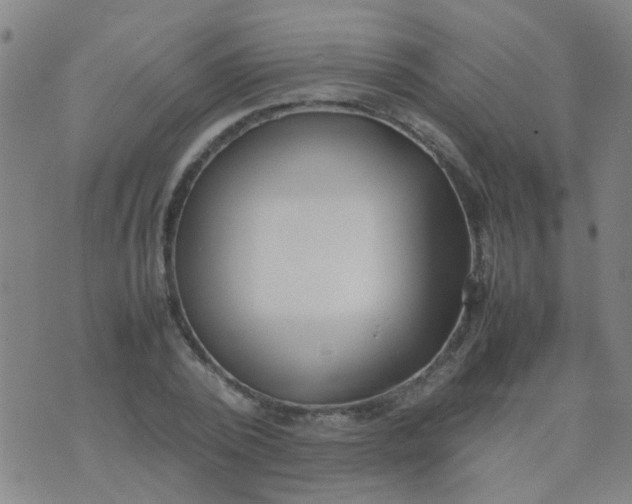 X0000074310784200609081941