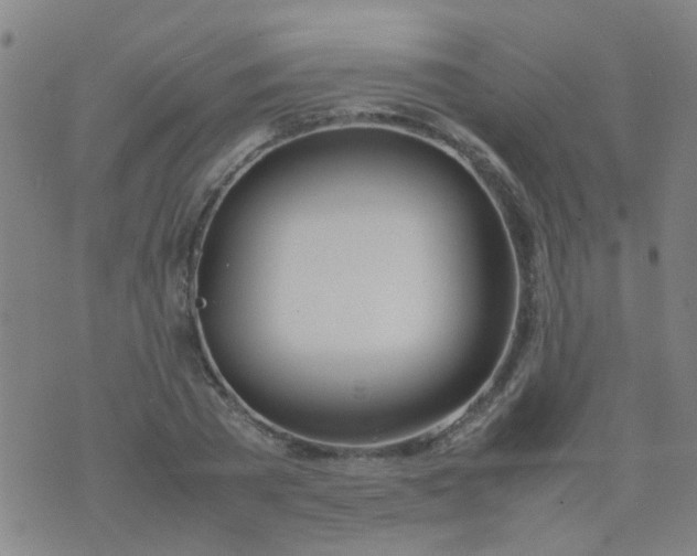 X0000074310785200609081941