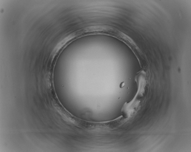 X0000074310786200609081941