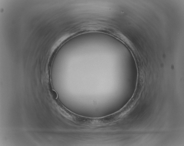 X0000074310787200609081941