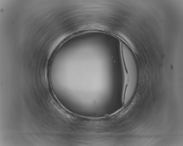 X0000074310788200609081941