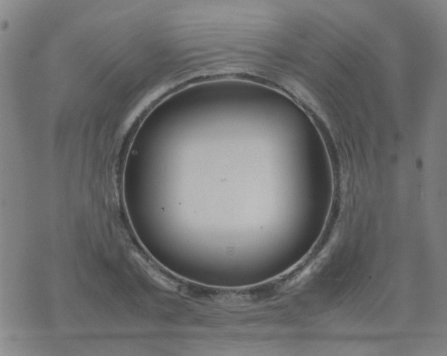 X0000074310789200609081941