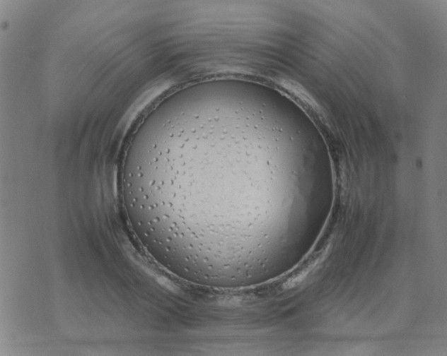 X0000074310790200609081941