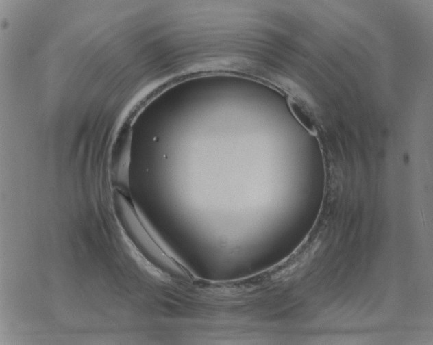 X0000074310792200609081941