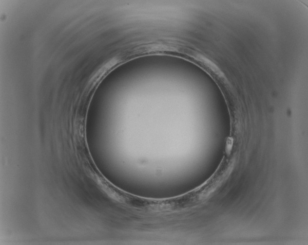 X0000074310793200609081941