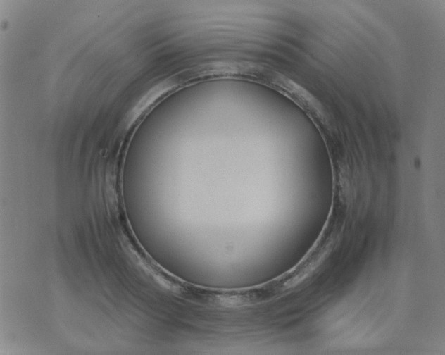 X0000074310794200609081941