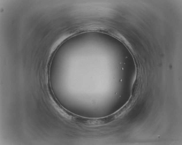 X0000074310795200609081941