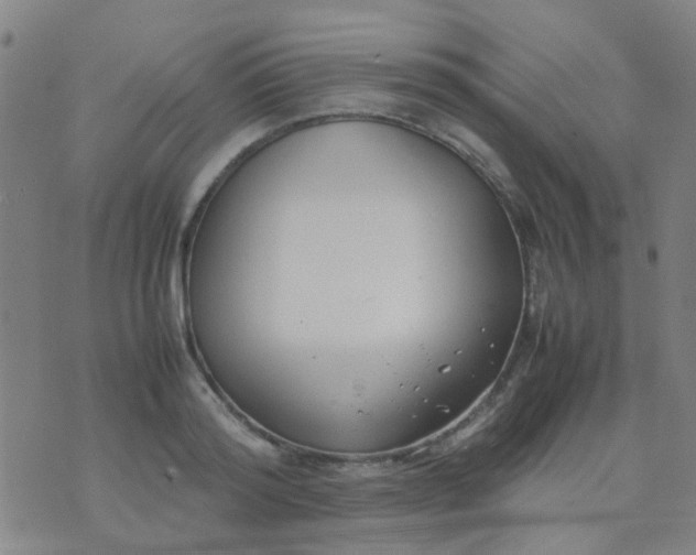 X0000074310796200609081941