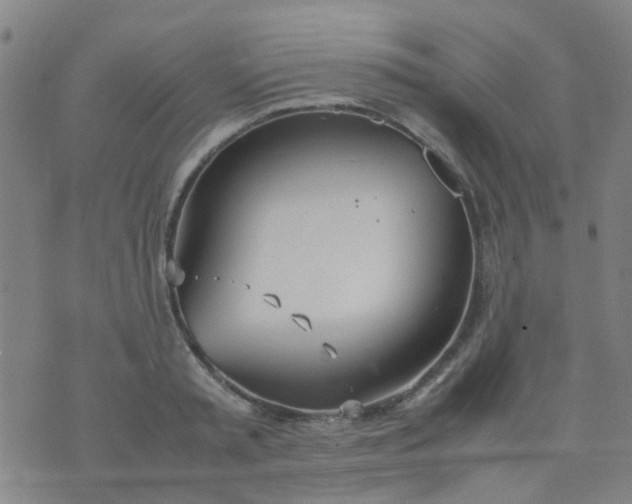 X0000074310797200609081941