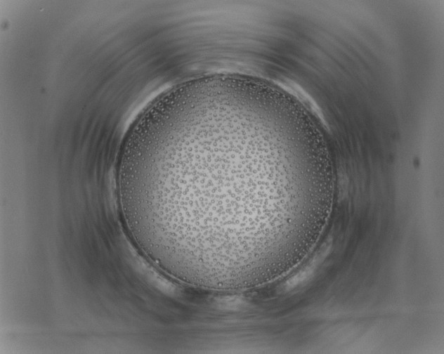 X0000074310798200609081941