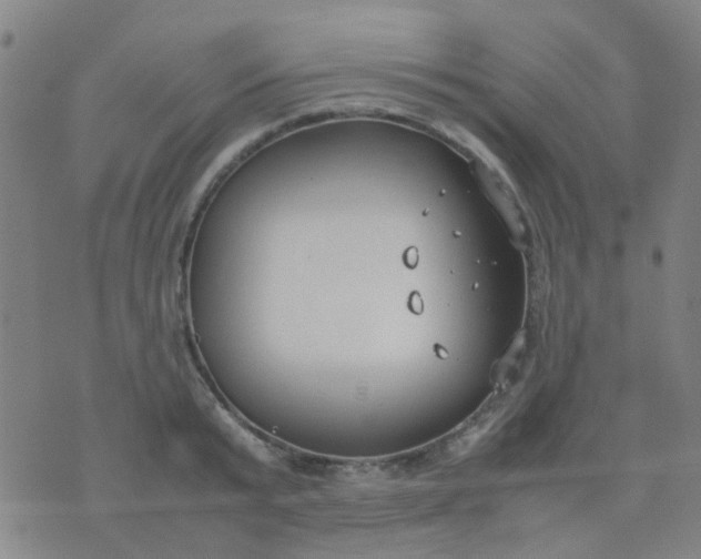 X0000074310799200609081941