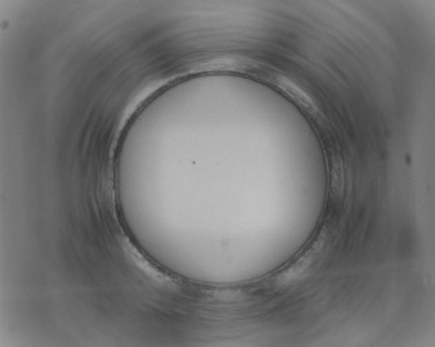 X0000074310800200609081941