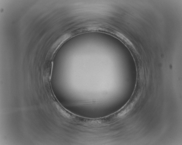 X0000074310801200609081941