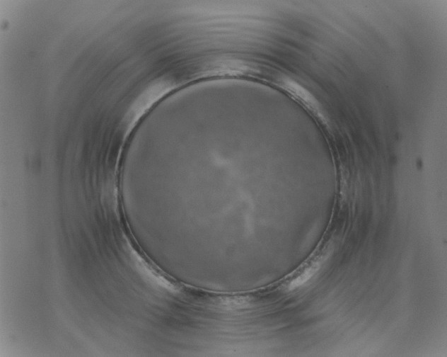 X0000074310802200609081941