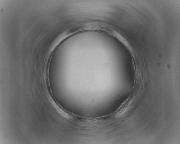 X0000074310803200609081941