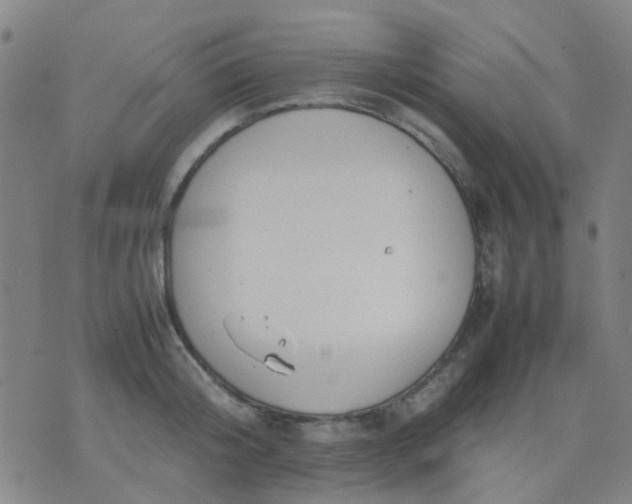 X0000074310804200609081941