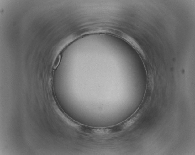 X0000074310805200609081941