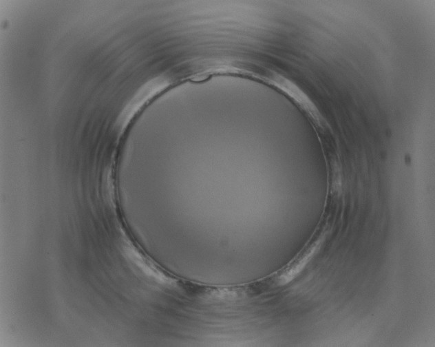 X0000074310806200609081941