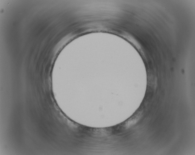 X0000074310807200609081941