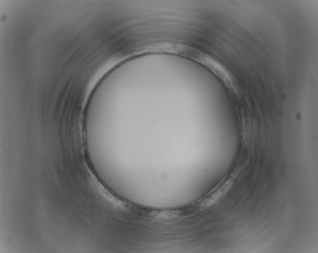 X0000074310808200609081941