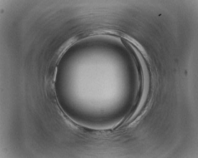 X0000074310809200609081941