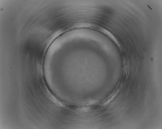 X0000074310810200609081940