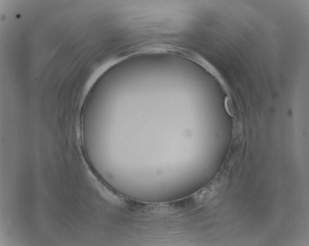 X0000074310811200609081940