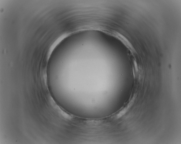 X0000074310812200609081940