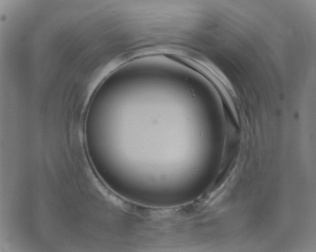 X0000074310813200609081940