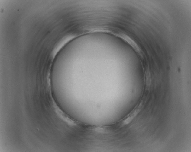 X0000074310814200609081940