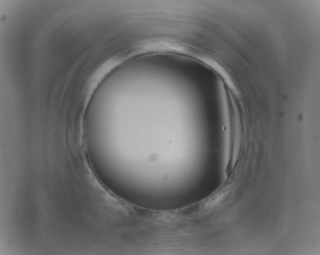 X0000074310815200609081940