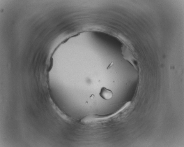 X0000074310816200609081940