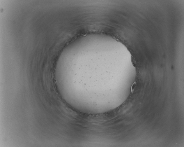 X0000074310817200609081940