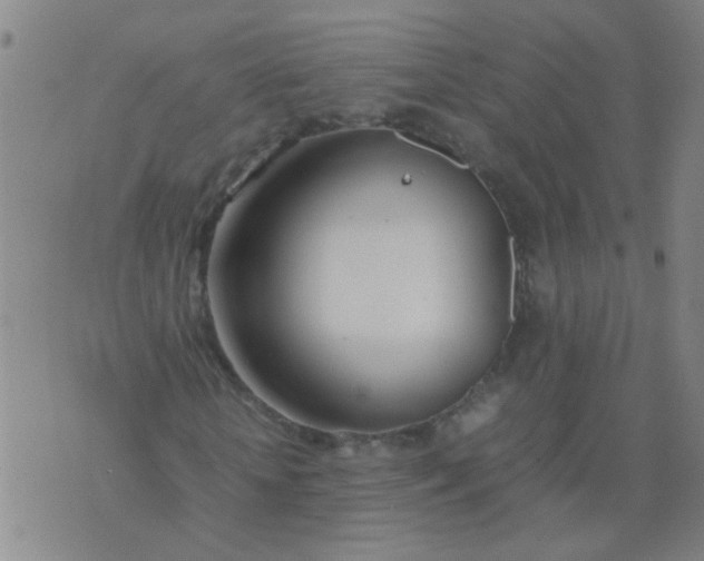 X0000074310818200609081940