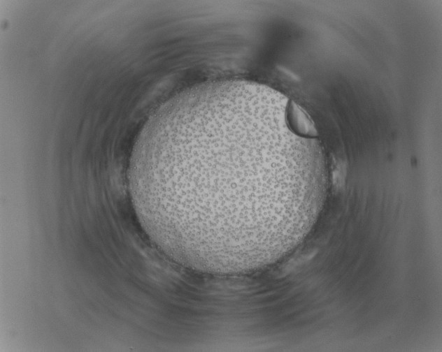 X0000074310819200609081940