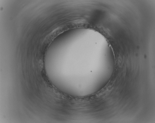 X0000074310821200609081940