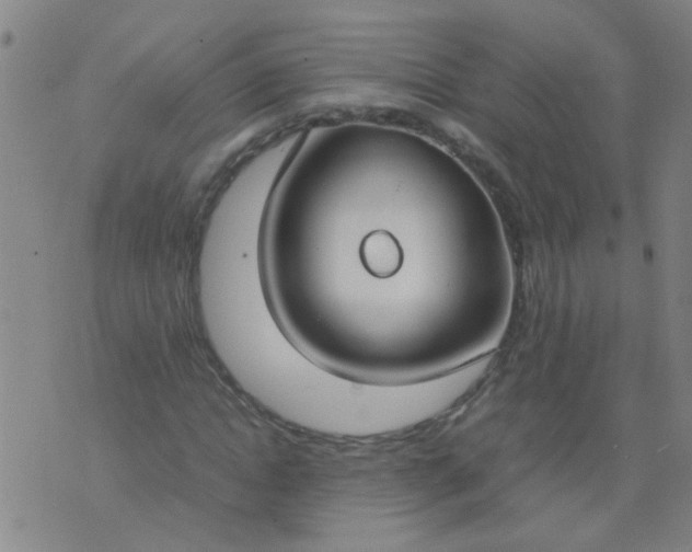 X0000074310822200609081940